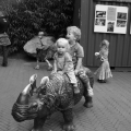IMG_1286